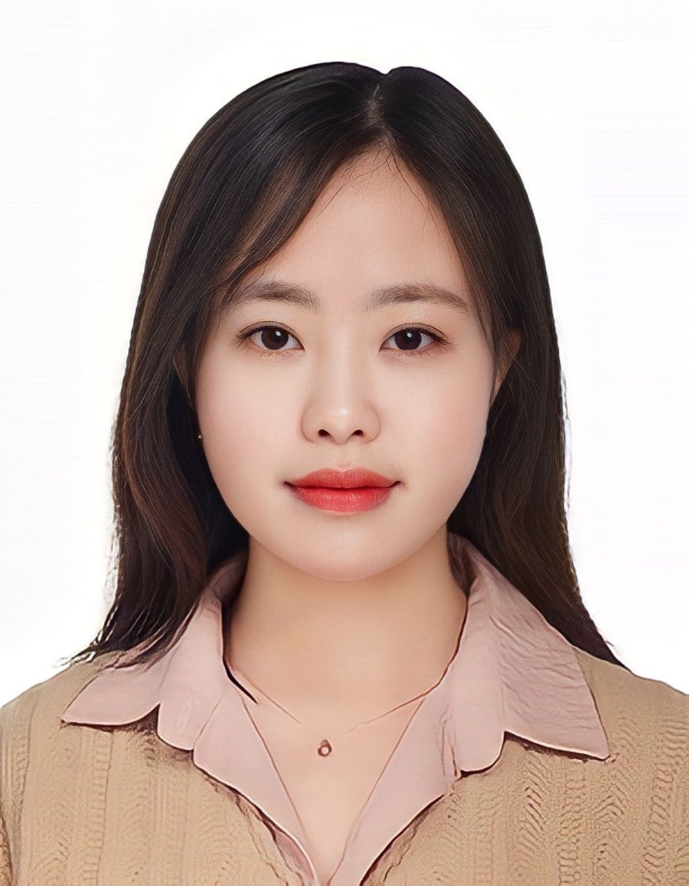 Vietnam Korea Consulting Team Leader